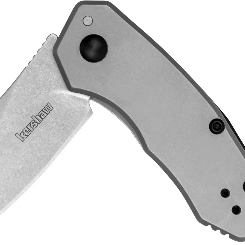 Kershaw Rate Folding Pocket Knife, Small Everyday Carry Knife with Assisted Opening, 8Cr13MoV Stainless Steel Blade, Pocketclip and Lanyard Hole,Grey